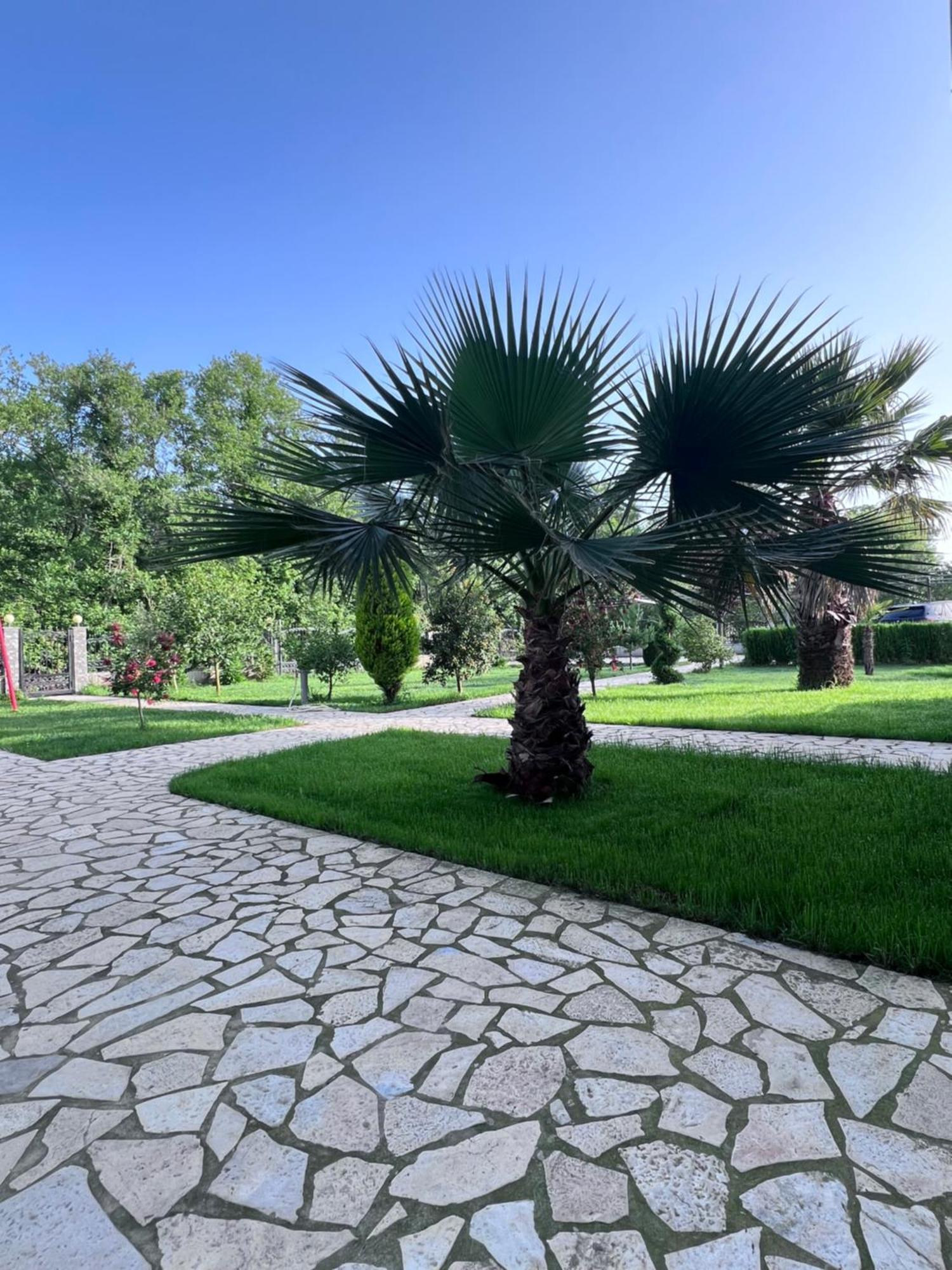 Residence Leora Ulcinj Exterior foto