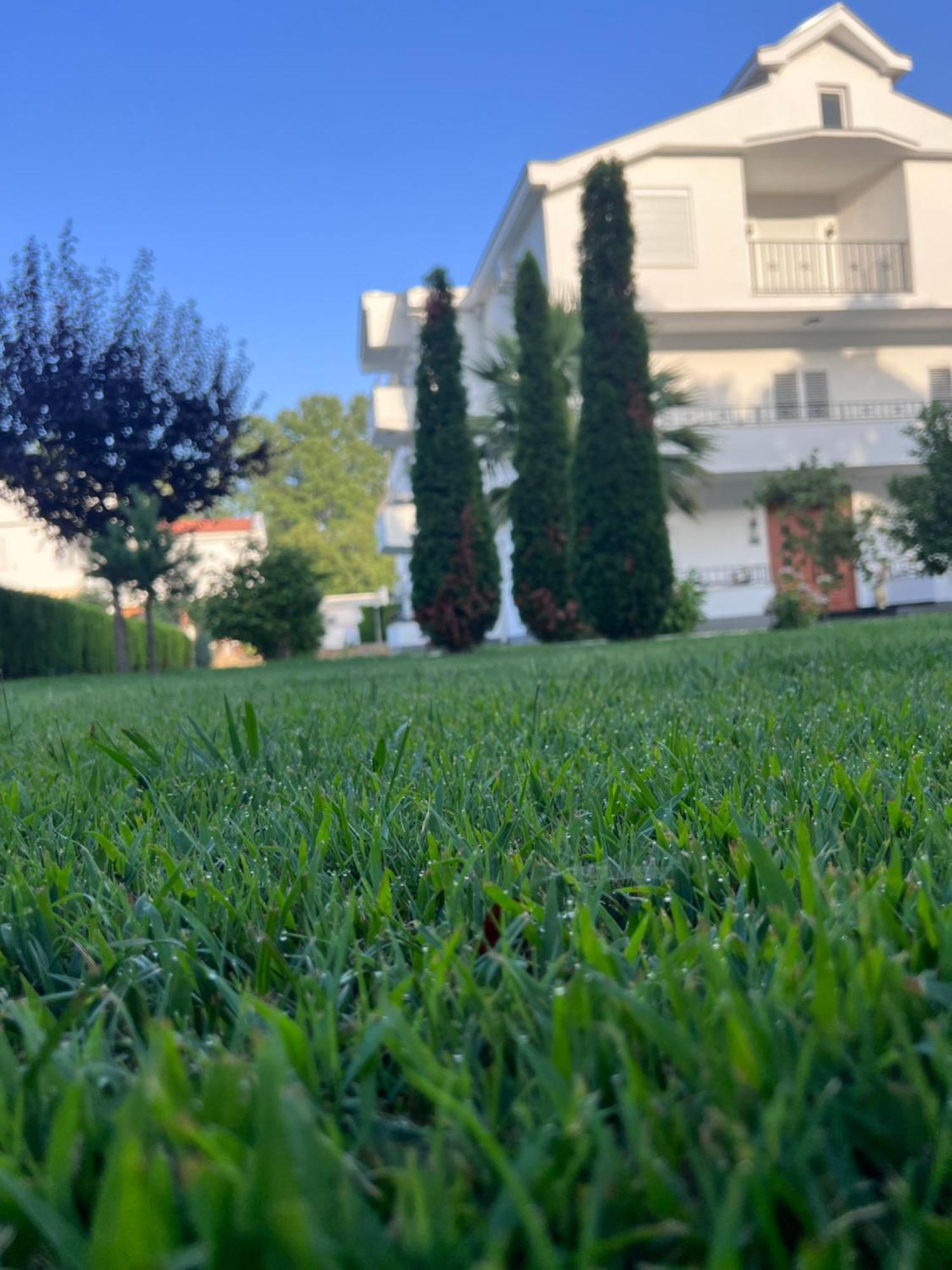 Residence Leora Ulcinj Exterior foto